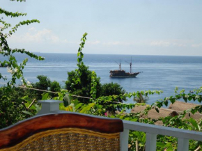 Гостиница Baliku Dive Resort  Abang